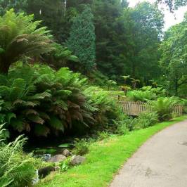 Jardin du Conservatoire Botanique National de Brest