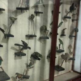 Patna Museum
