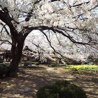 Jisso-ji Temple