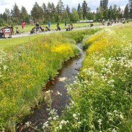 Skelleftea Golf Course