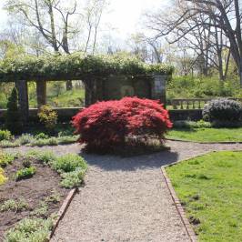 Fort Stamford Park - Goodbody Garden