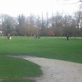 Belfairs Wood, Park and Nature Reserve