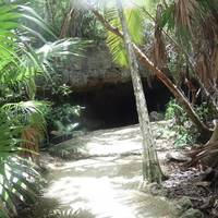 Tulum Monkey Sanctuary