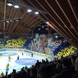 Vaillant Arena