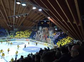 Vaillant Arena