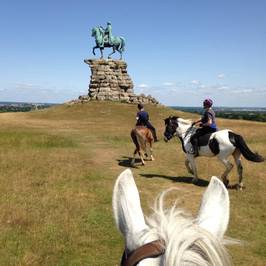 Tally Ho Stables