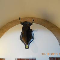 Museo Taurino