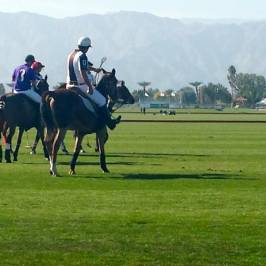 Eldorado Polo Club
