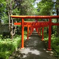 Fushimi Inari Shrine
