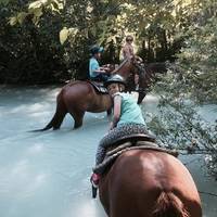 Adventure on Horseback