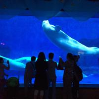 Tianjin Haichang Polar Ocean World