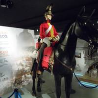 Firing Line - Cardiff Castle Museum of the Welsh Soldier