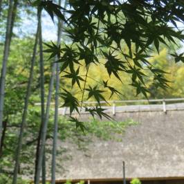 Open-Air Museum of Old Japanese Farm Houses