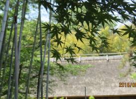 Open-Air Museum of Old Japanese Farm Houses