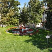 Viragora Flowerclock