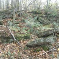 Town of Lockport Nature Trail