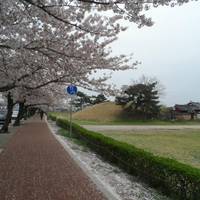 Royal Tomb of Queen Seondeok