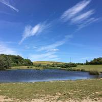 Herrington Country Park