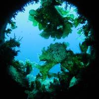 Cyprus Diving Adventures