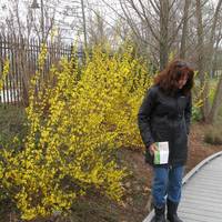 Botanical Garden of the Ozarks