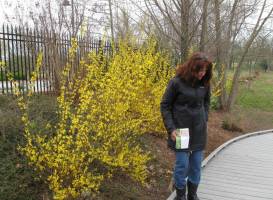 Botanical Garden of the Ozarks