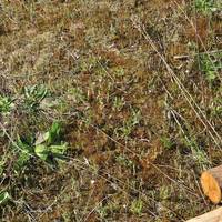 Riserva Naturale Ca' Roman