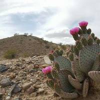 Colorado River Heritage Greenway Trail