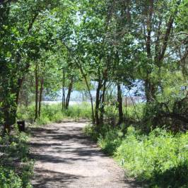 I-20 Wildlife Preserve