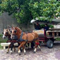 Office de Tourisme Intercommunal