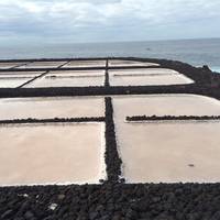Salinas Marinas de Fuencaliente