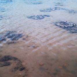 Lake Thetis