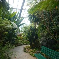 Centennial Park Greenhouse