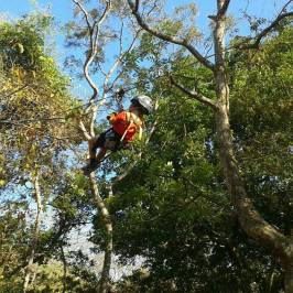 Canopy Vista Tamarindo