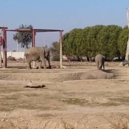 Izmir Wild Life Park