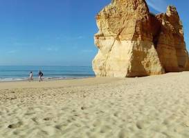 Seafaris Portimao