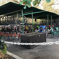 Celebration Bike Rental