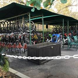 Celebration Bike Rental