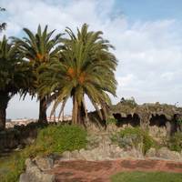 Jardim do Morro