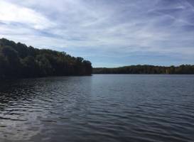 Mill Creek Marsh