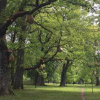 Nolhaga Djurpark