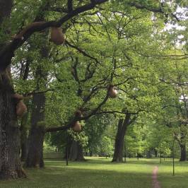 Nolhaga Djurpark