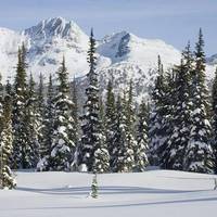 Gulmarg Biosphere Reserve