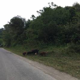 Parque Sierra de San Javier