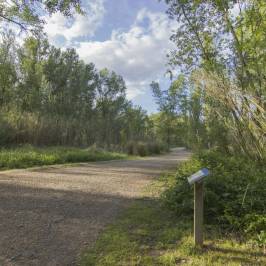 Parc Municipal de la Mitjana