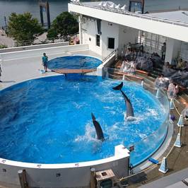 Kujukushima Aquarium Umikirara