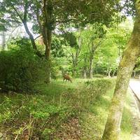 Takaragaike Park