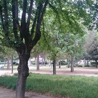Parque del Mediodia