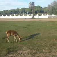 Donana Nature Day Tours