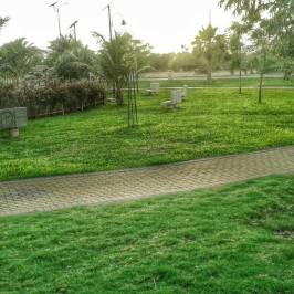 Yanbu Lakes