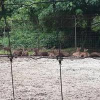 Taman Rekreasi Gunung Lang